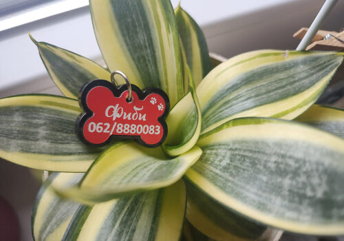 Crvena koska privezak za psa