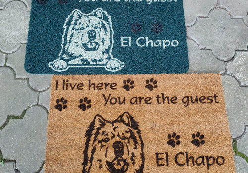 Kokos i pvc otirac sa motivom psa