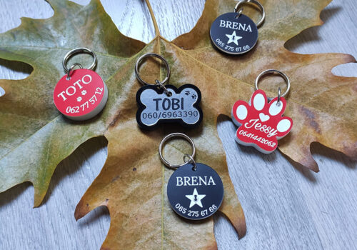 Primeri privezaka za pse