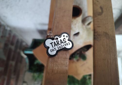 Srebrna koska privezak za psa