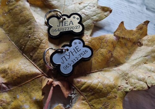 Srebrna zlatna koska privezak za psa